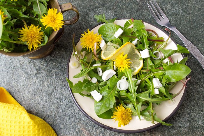 Green salad with dandelions