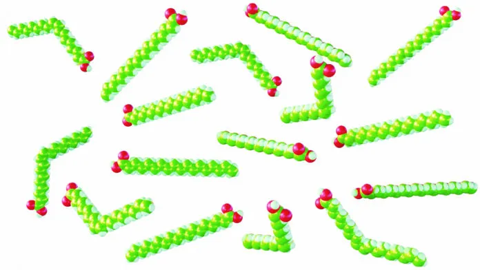 Chemical structures of saturated and unsaturated fatty acids.