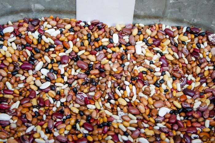 assortment of beans and lentils