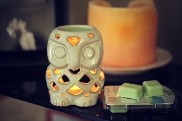 Febreze gain wax melts