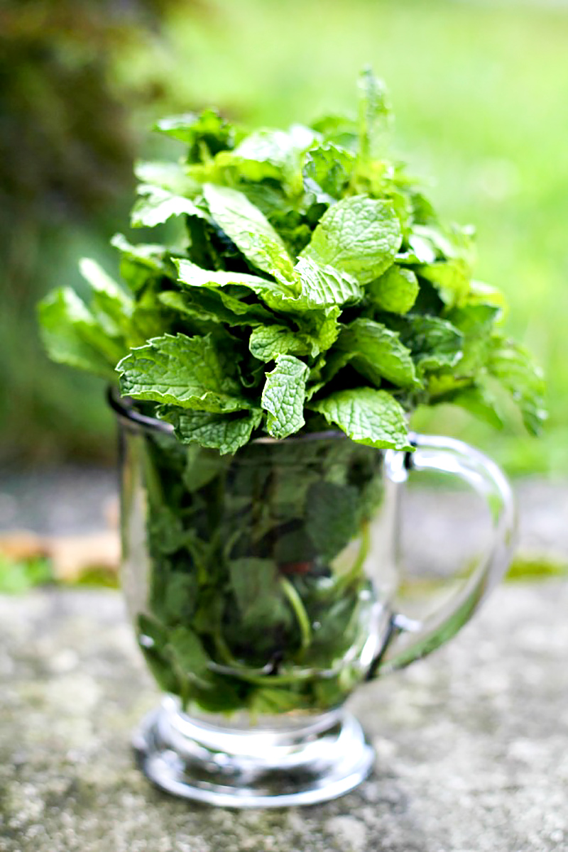 Fresh Mint Water Recipe