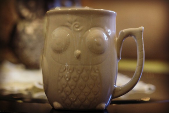 owl mug