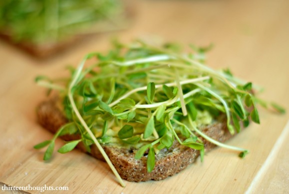 pea sprouts sandwich