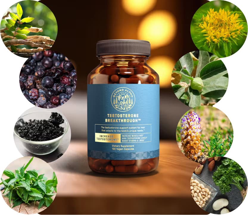 Testosterone Breakthrough Ingredients