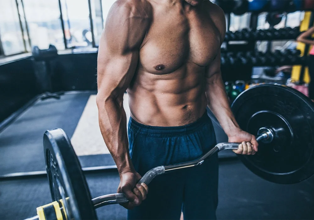 Body Composition Improvement