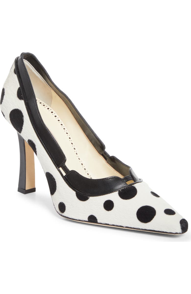 Xerxa Pointed Toe Pump